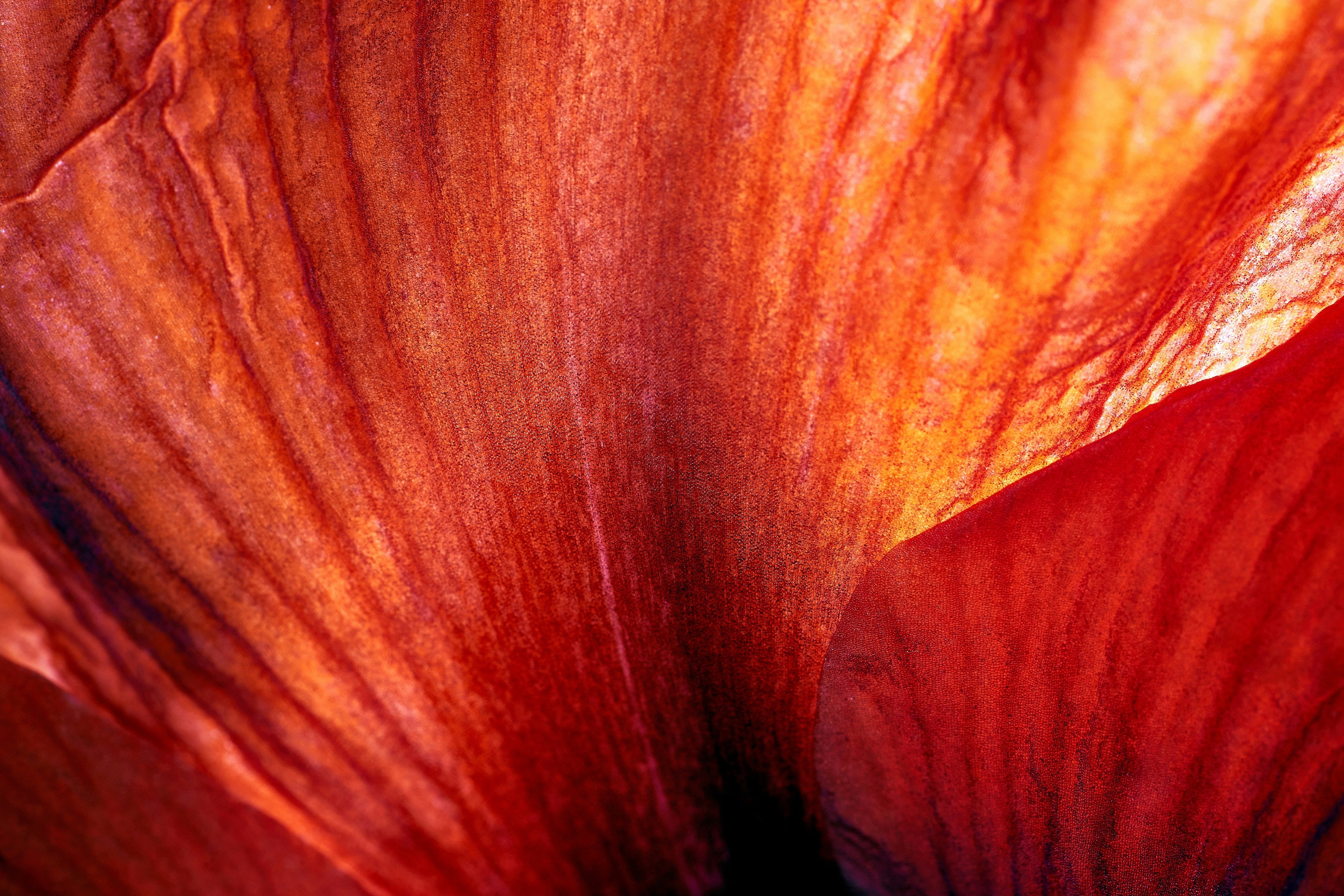 El impacto emocional de los aromas y texturas en el bienestar diario.